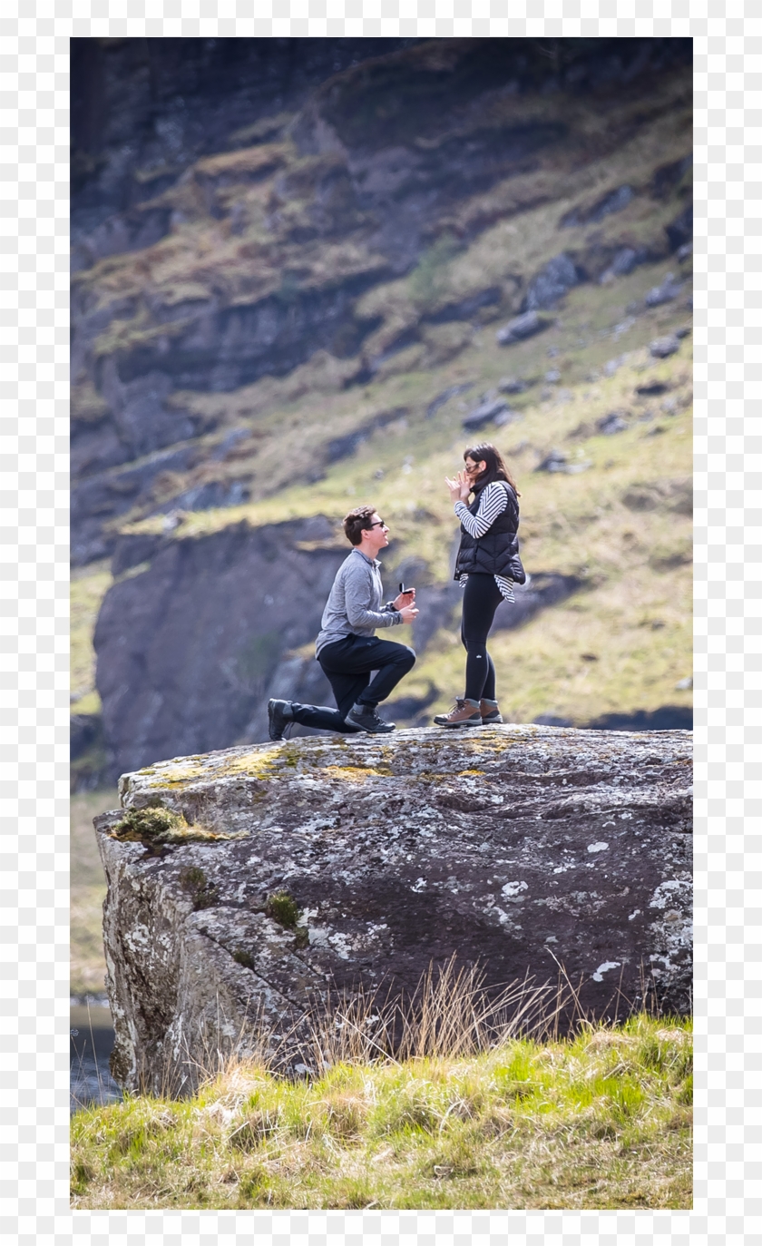 Proposal Planning - Grass Clipart