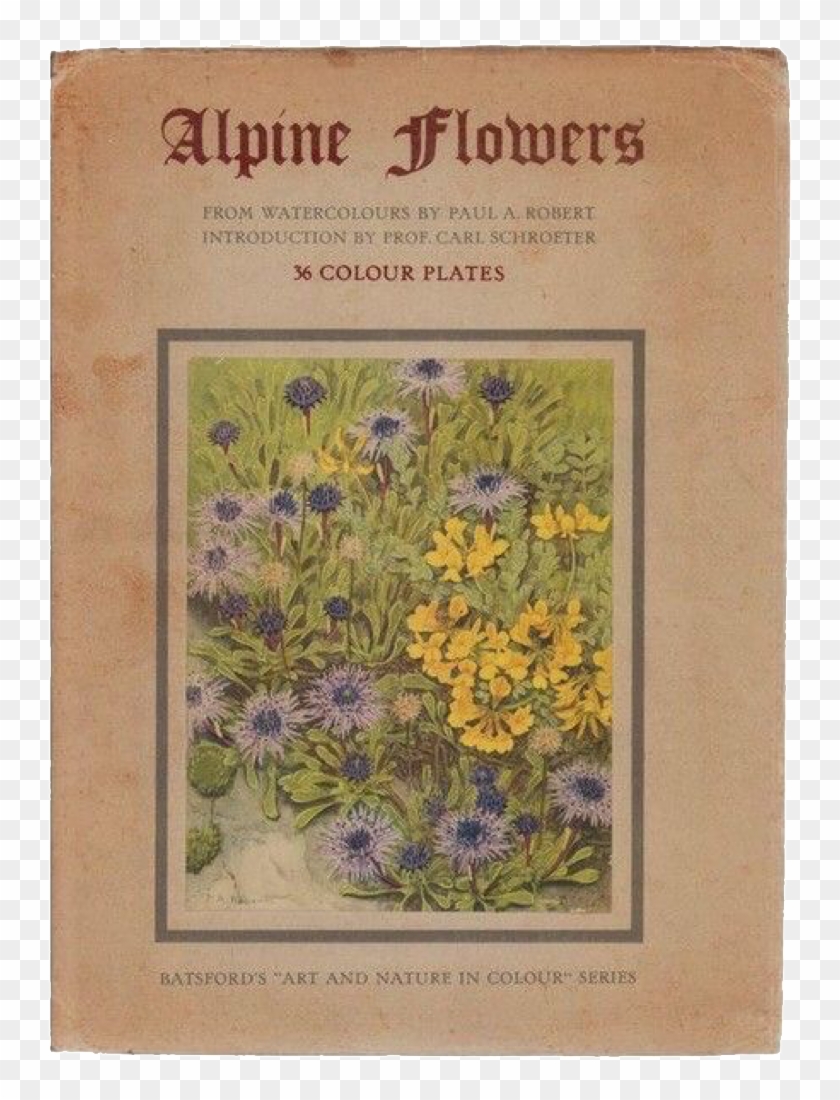 Image Image Image Clipart