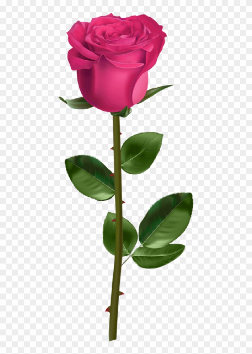 Free Png Rose With Stem Pink Png Images Transparent - Blue Roses Transparent Background Clipart
