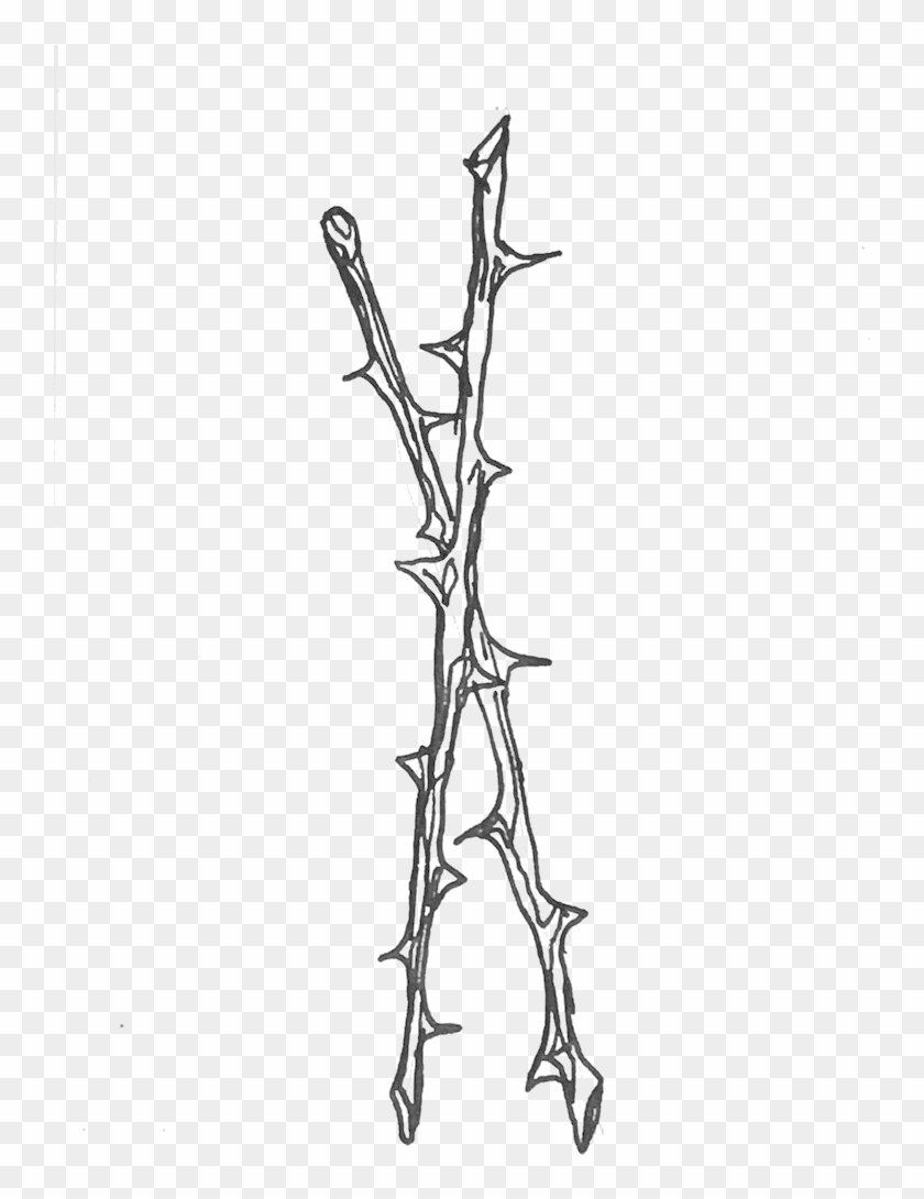 Bernice Yu/ Credit - Line Art Clipart #1163503