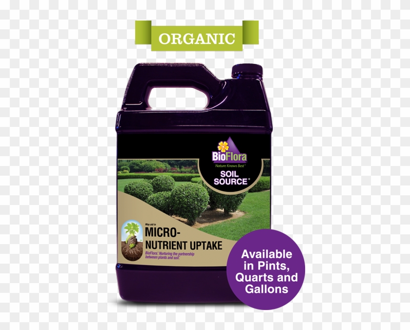 Soil-sourcev2 Website - Broccoli Clipart #1165280