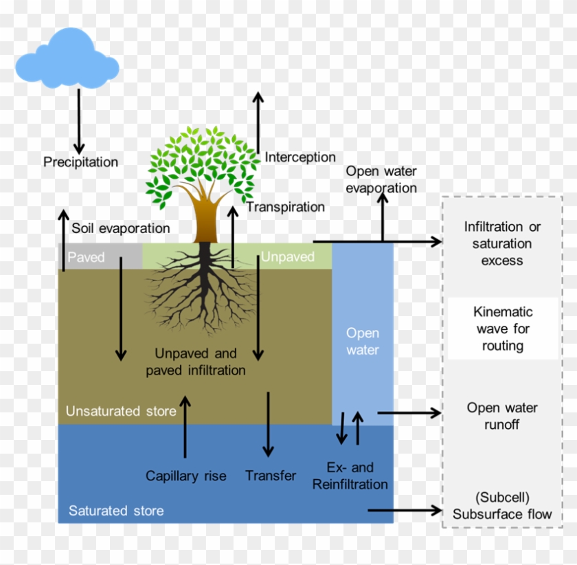 Images/wflow Sbm Soil - Transpiration Models Clipart