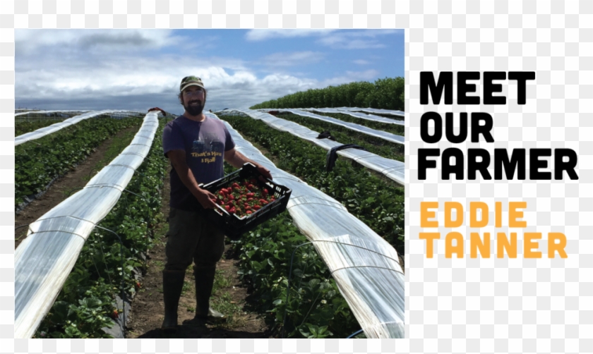 Fb Meet Our Farmer Clipart #1165413