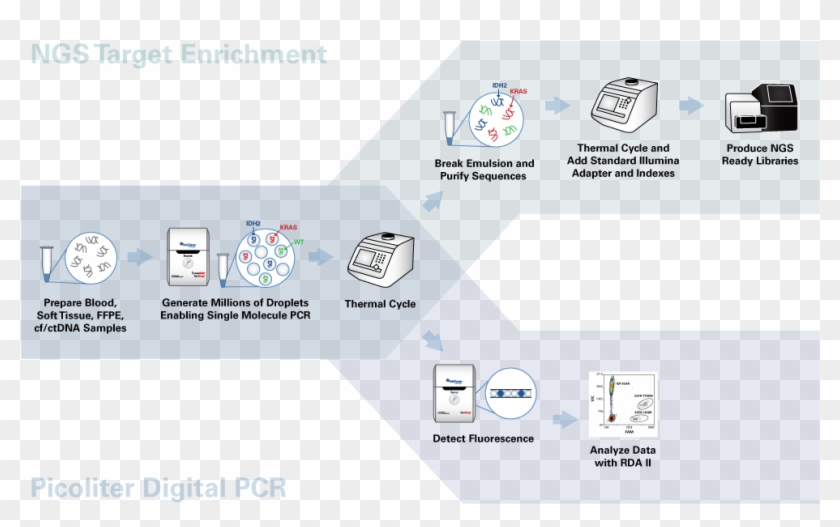 Workflow Unifiedhorizheaders - Raindance Technologies Clipart #1165661