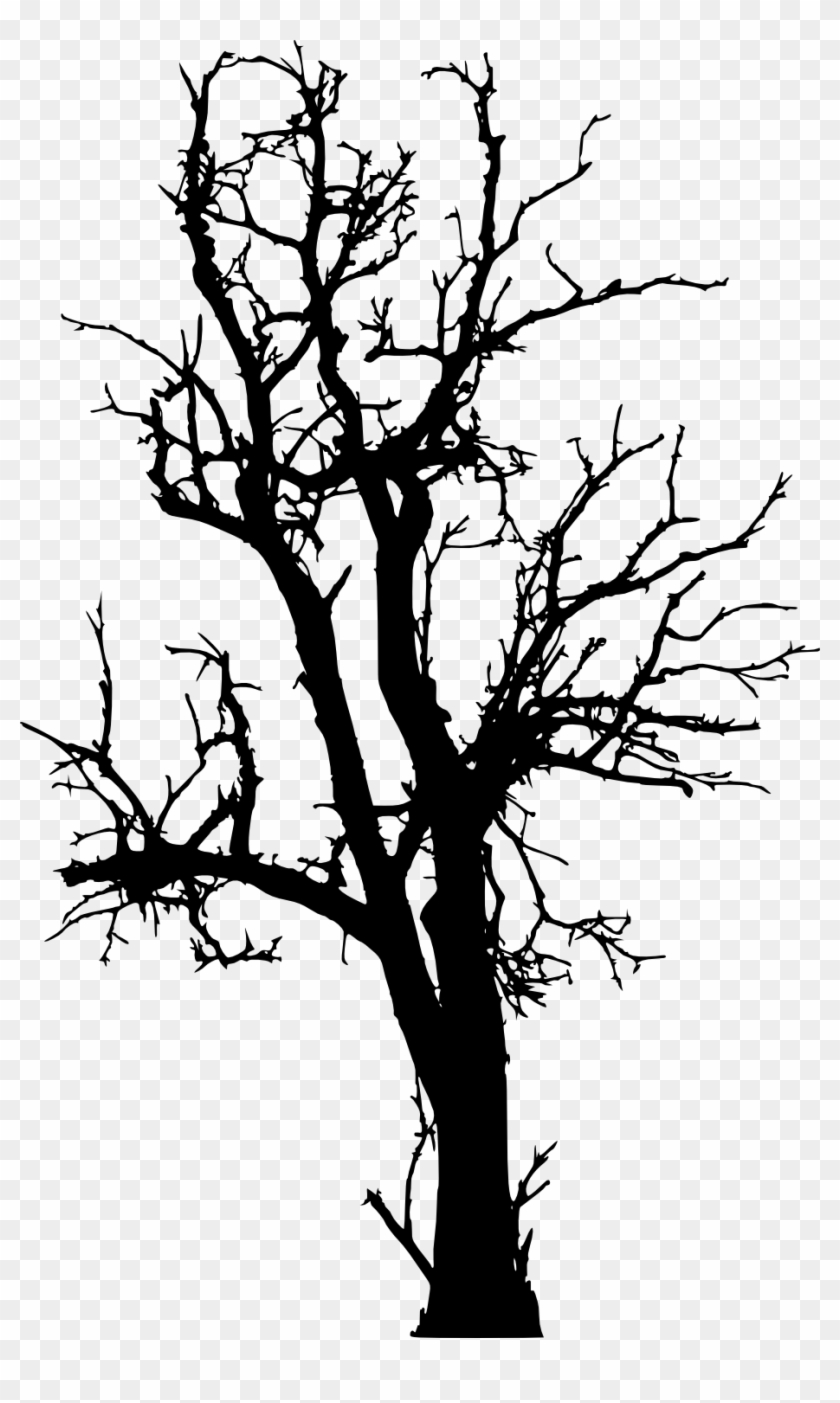 Free Download - Dead Tree Silhouette Png Clipart #1166554