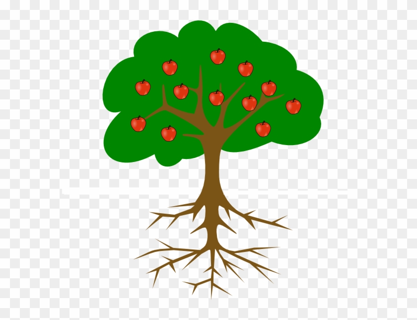 Tree Drawing With Fruits Clipart