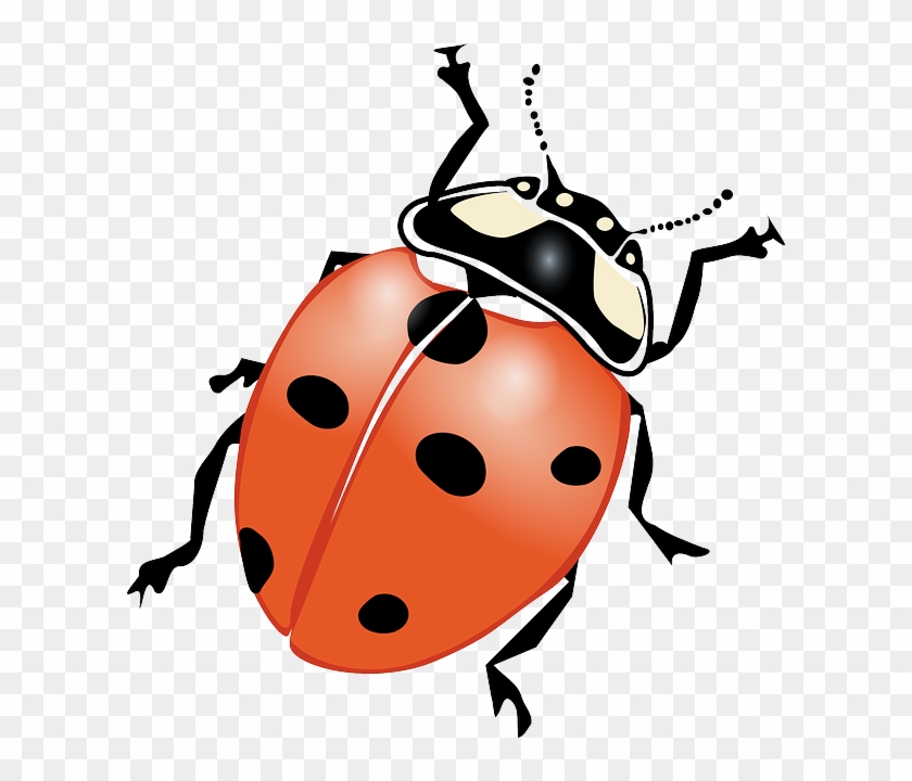 Free Image On Pixabay - Black And White Ladybugs Clipart - Png Download