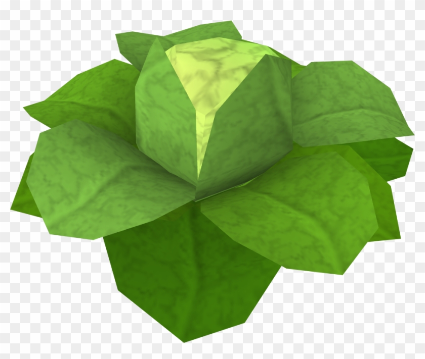 Cabbage Rs Clipart #1167167