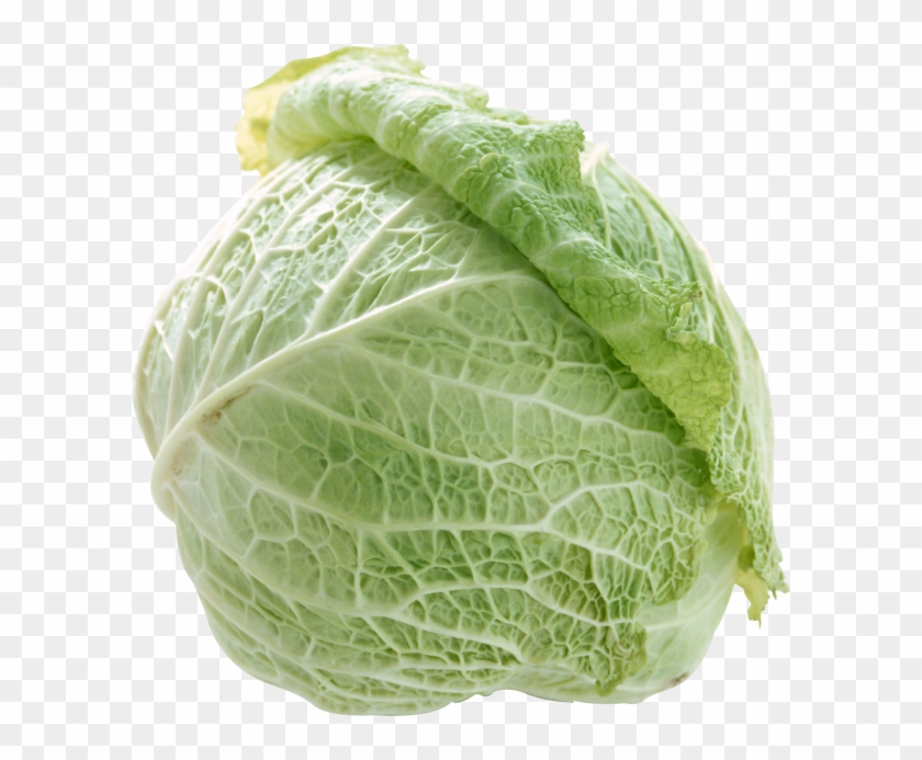 Cabbage Png Free Image Download - 菜 Clipart #1167202