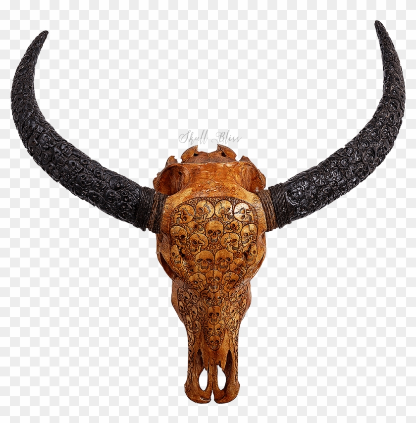 Carved Buffalo Skull // Carved Horns - Horn Clipart #1167561