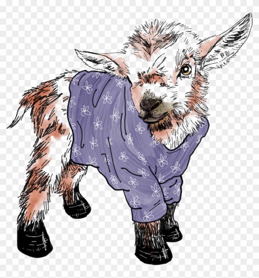Baby Goat Tshirt Design - Sweater Clipart #1170486