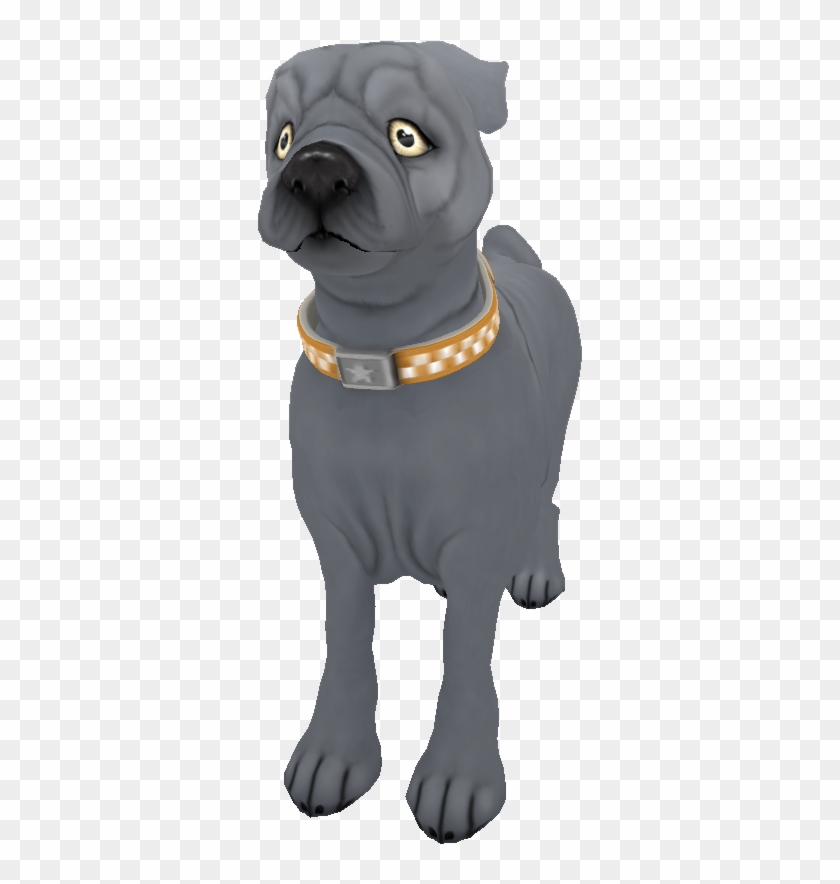 Pug Silversolid - Pug Clipart