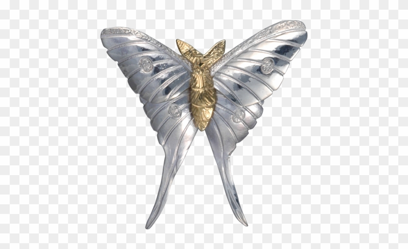 Swallowtail Butterfly Clipart