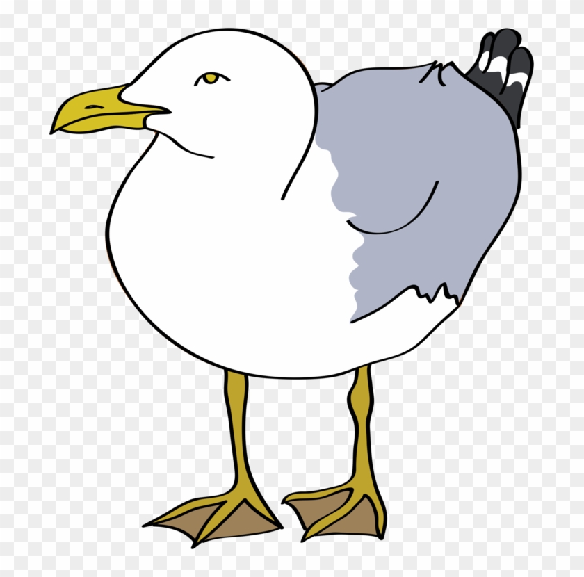 697 X 750 1 - Seagull Clipart - Png Download #1172146