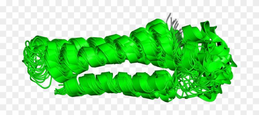 Manduca Sexta Clipart