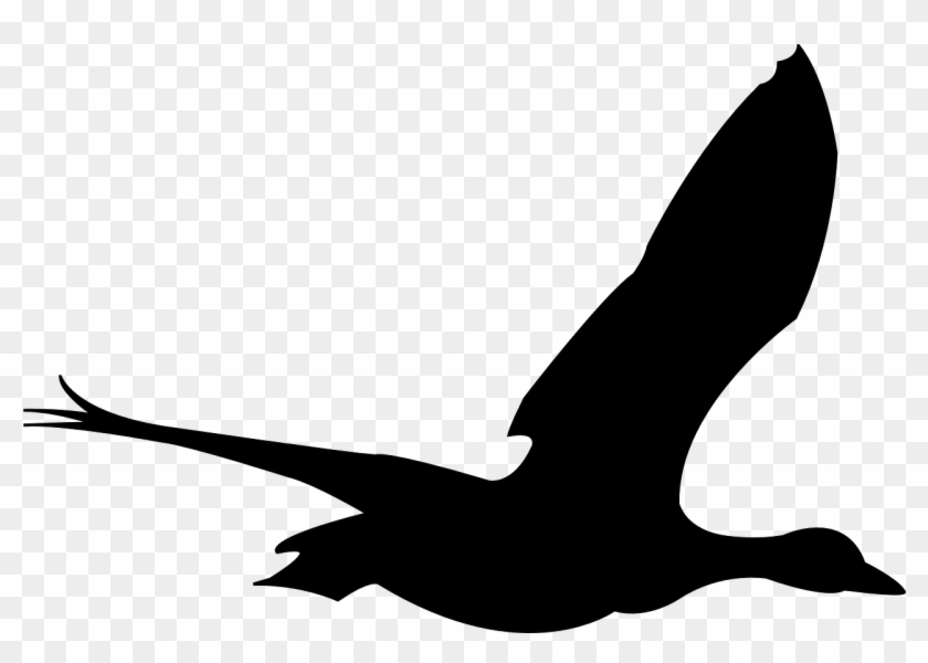 Duck Bird Flying - Bird Flying Gif Png Clipart #1172233
