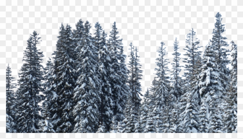 Backdrop Treeline Snowy - Snow Clipart #1174029