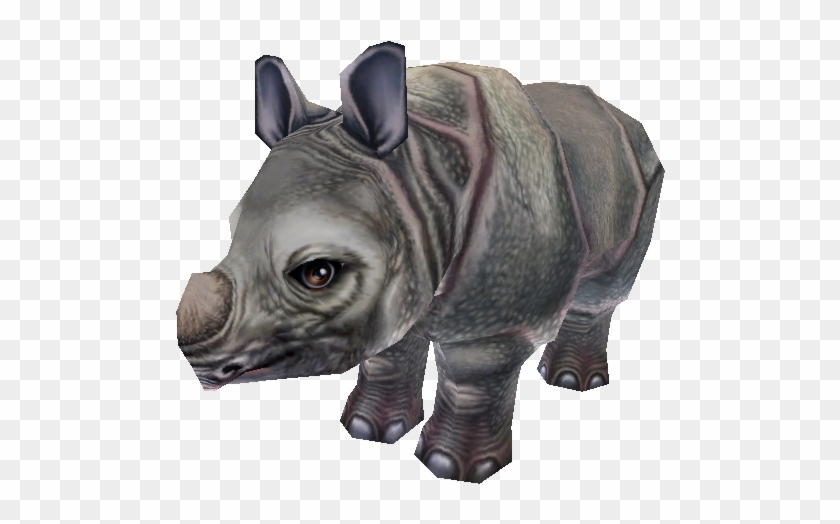 750 X 650 1 - Indian Rhinoceros Clipart #1174147