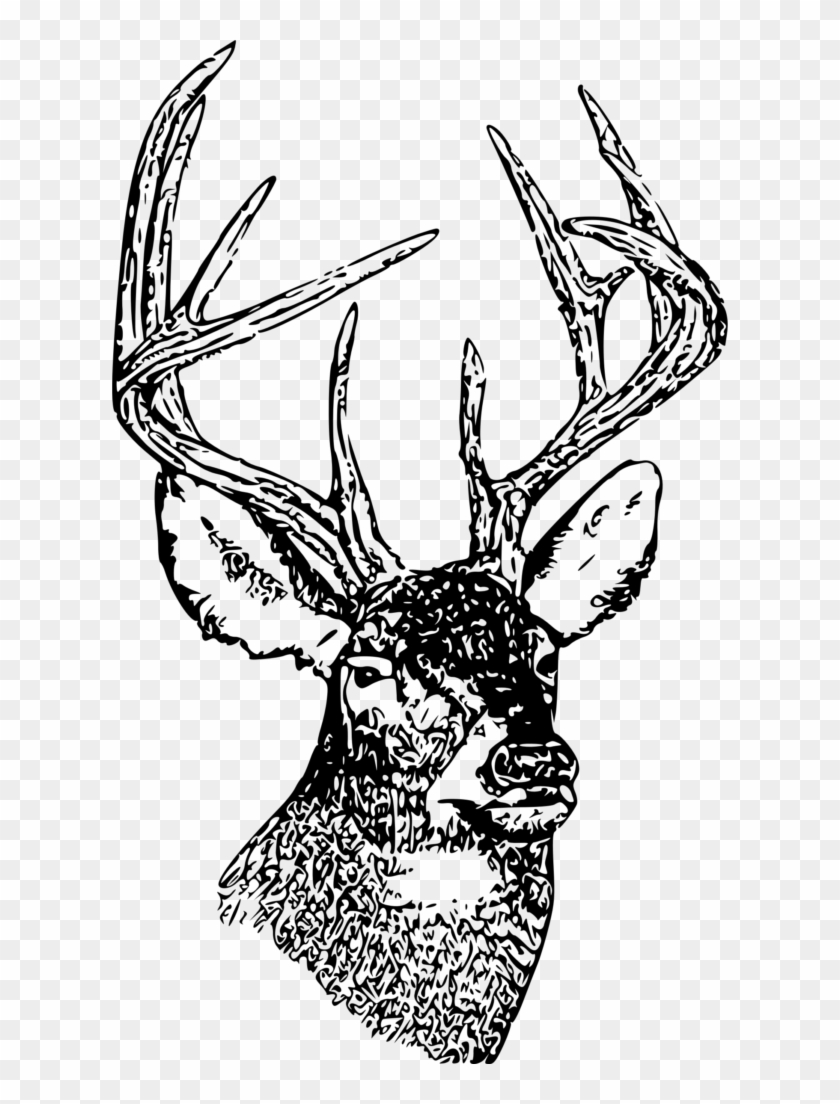 Nation Drawing Deer Head 2 Skull Earth Clipart - Deer Head Illustration Black And White - Png Download #1176783