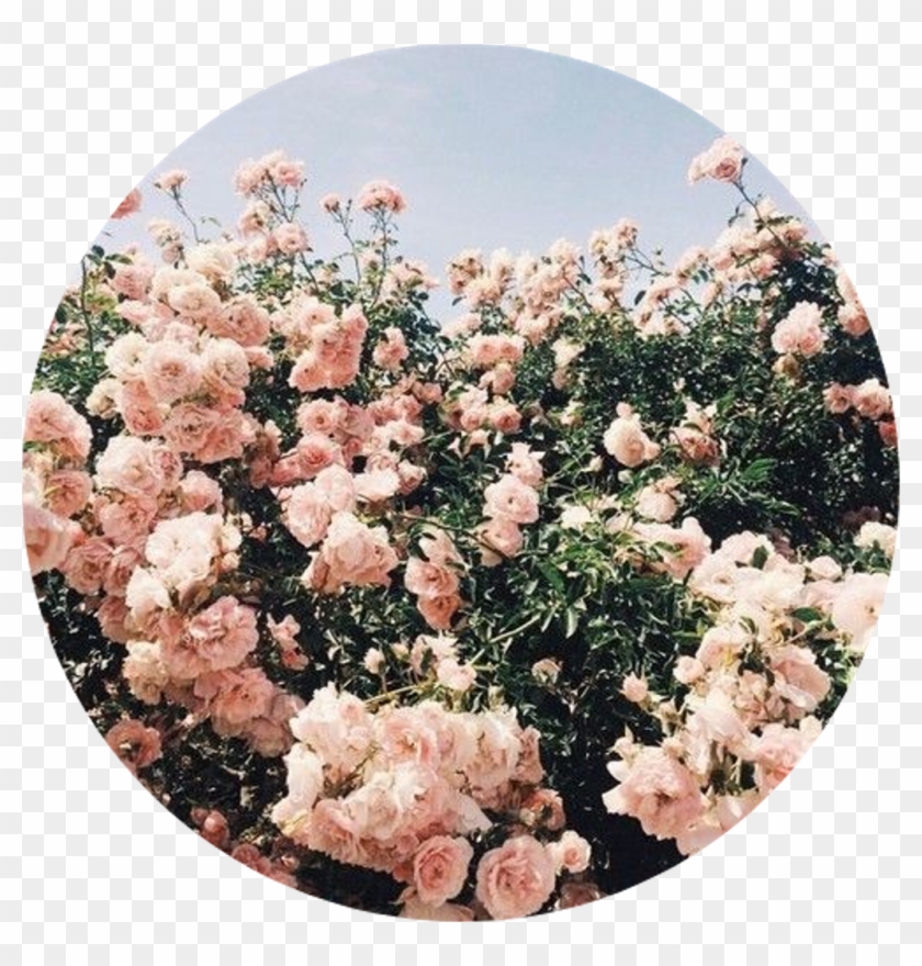 Flower Tumblr Free Online Puzzle Games Png Tumblr Transparent - Aesthetic Flowers Clipart