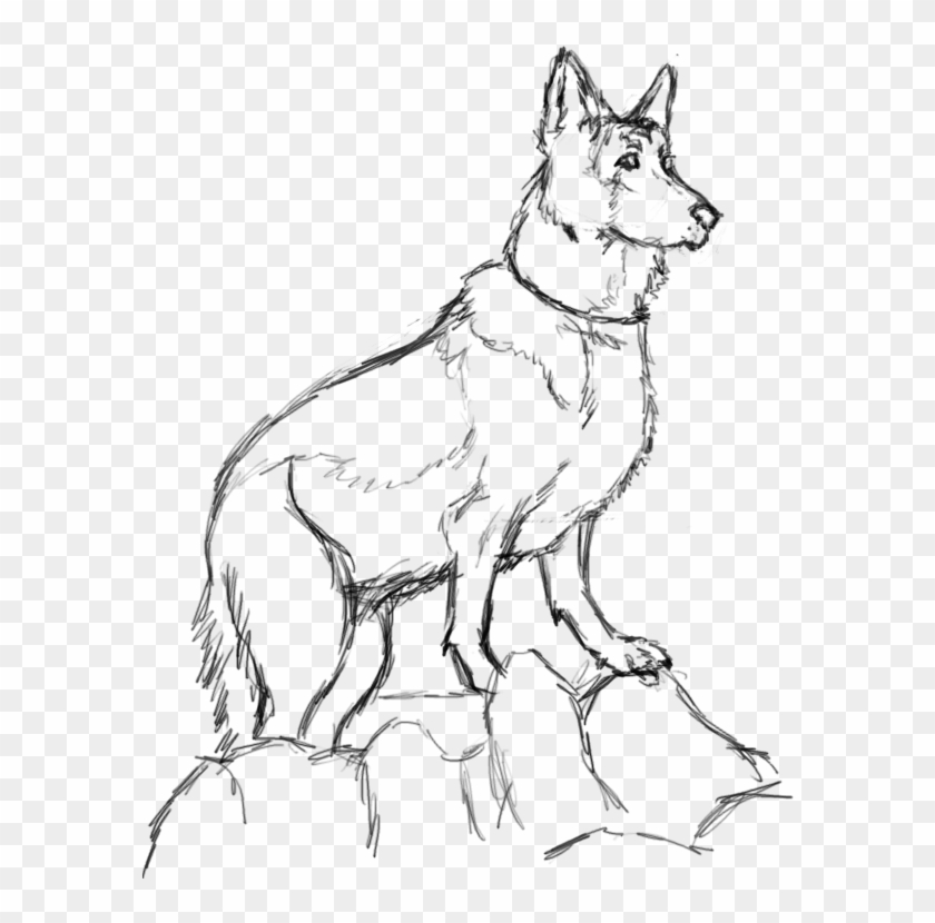 German Shepherd Drawing - Mackenzie River Husky Clipart #1177015