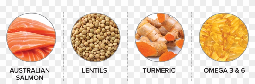Salmon-ingredients Clipart