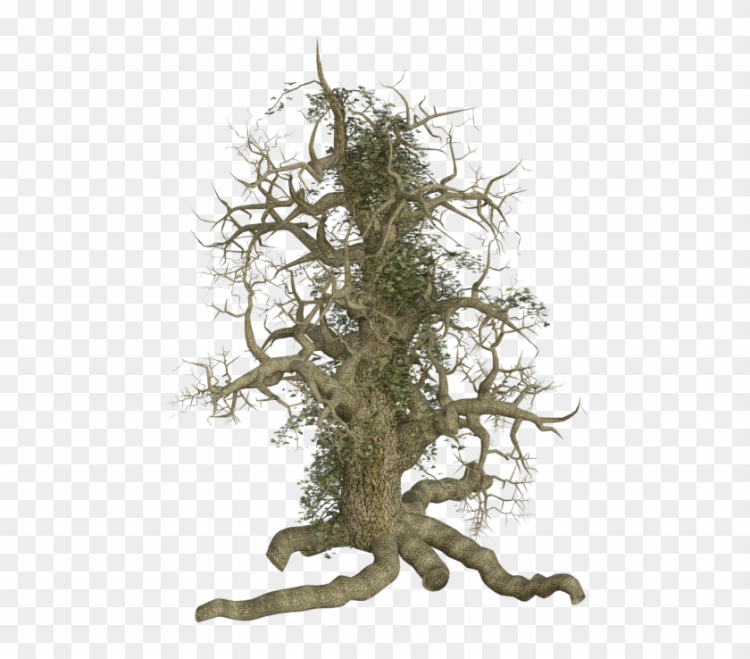 Tree Clipart