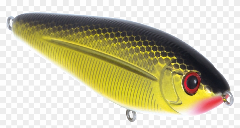 Bait Fish Clipart