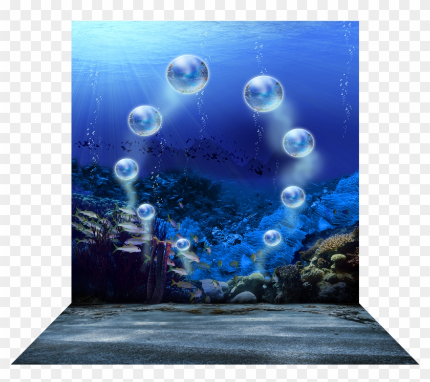 3 Dimensional View Of - Coral Reef Clipart #1180756
