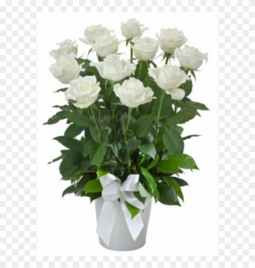 1 Dozen Long Stemmed White Roses In Vase Pot Product - Garden Roses Clipart #1181053