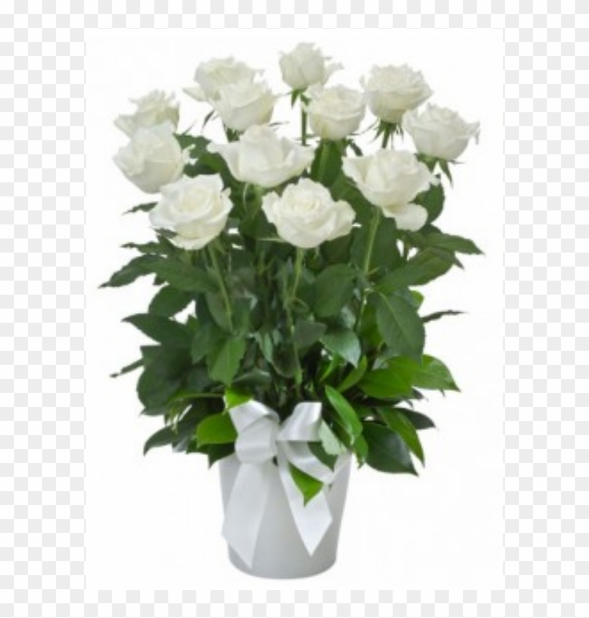 1 Dozen Long Stemmed White Roses In Vase Pot Product - Garden Roses Clipart