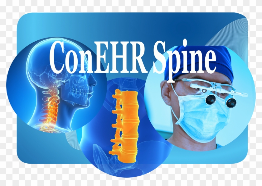 Features - Inflatable Clipart #1181696