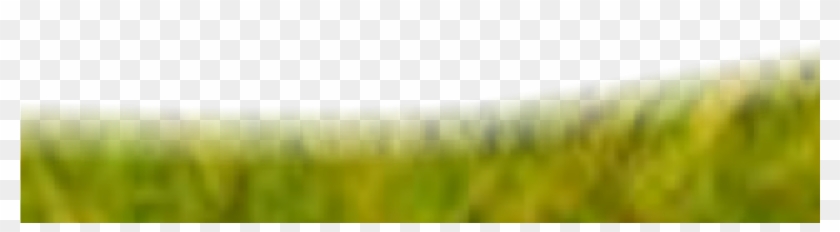 Then Click The Download Button - Grass Clipart #1182034