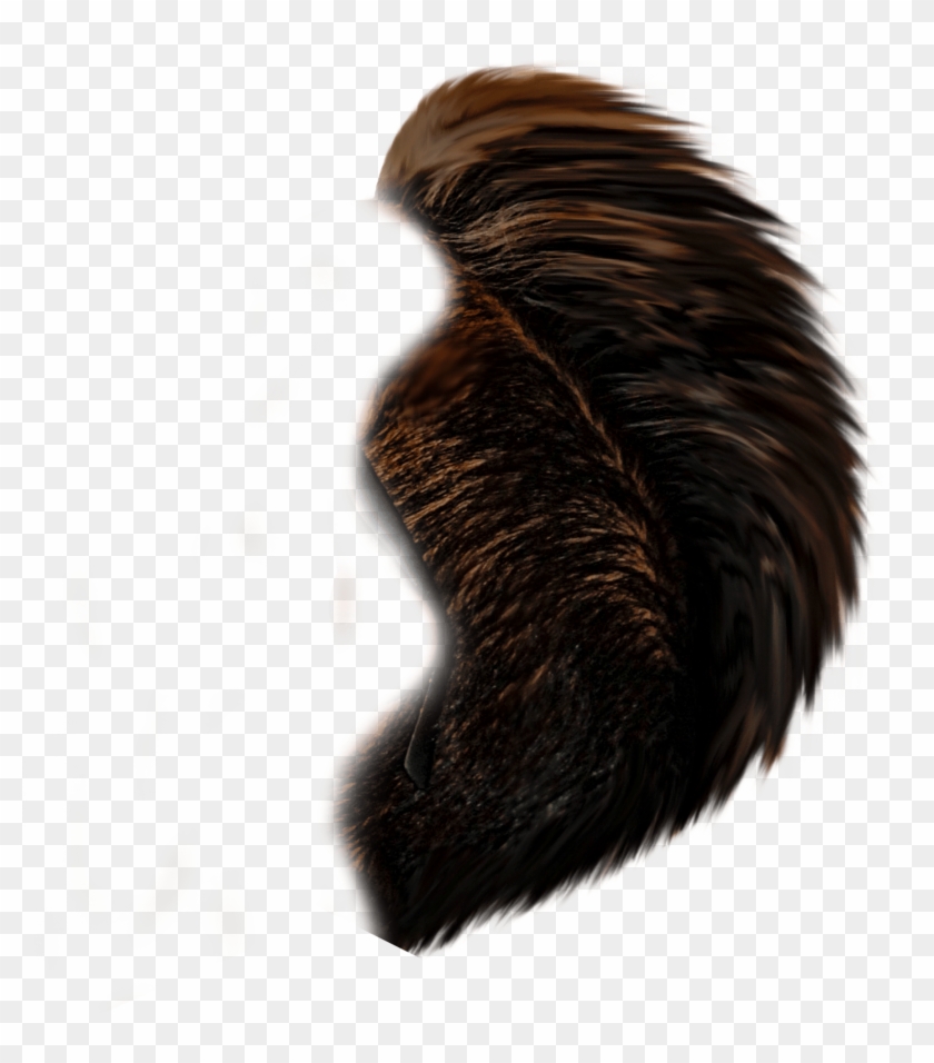 Free Hair Png My Stylish Hair Png Pack Watch Full Video - Claw Clipart