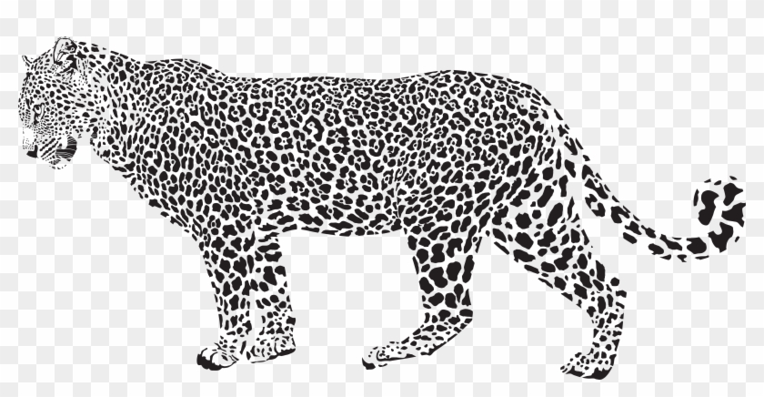 19 Cheetah Jpg Freeuse Library Black And White Huge Clipart