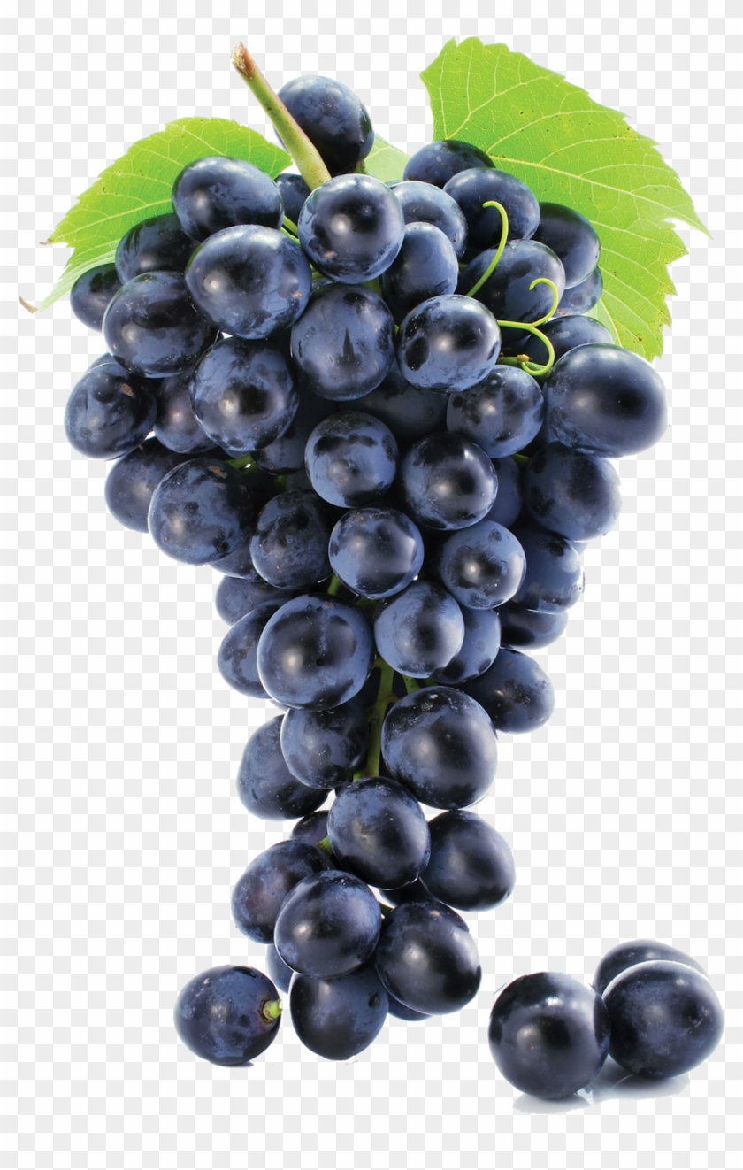 Grape Png Image & Grape Clip Art - Blue Grape Png Transparent Png