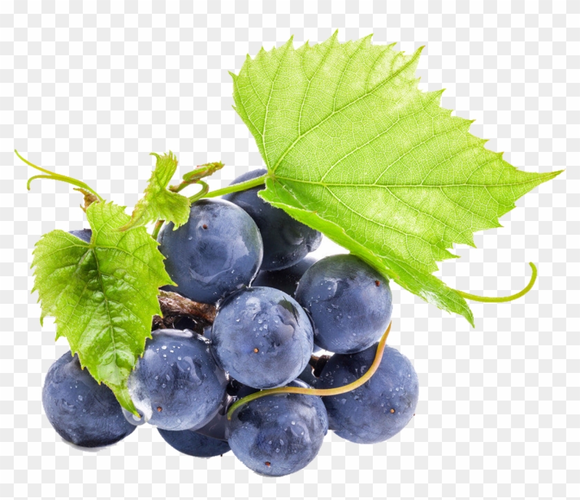 Purple Cartoon Grapes - Grape Clipart #1184620