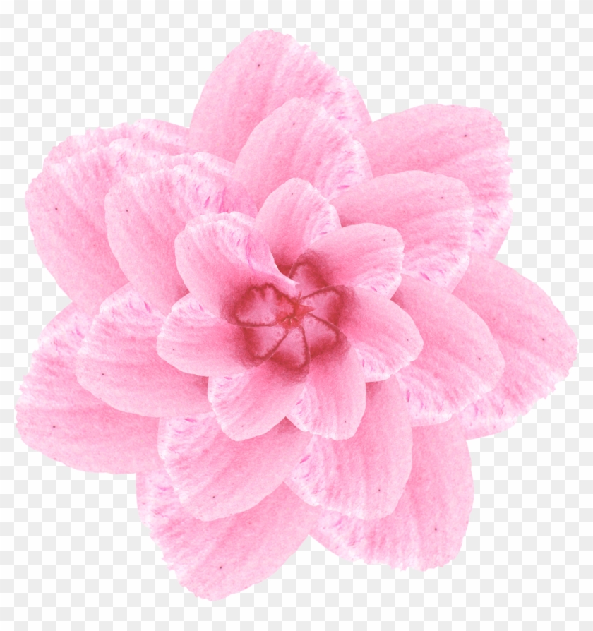 Simplicity Fashion Creativity Watercolor Png And Psd - Artificial Flower Clipart