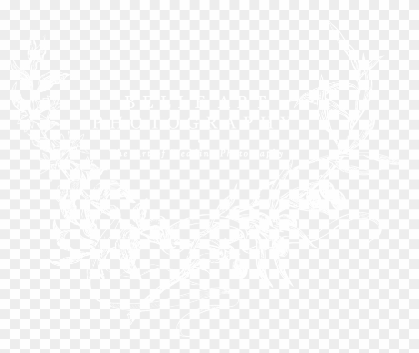 Belle Art Photography Belle Art Photography - Graphic Design Clipart #1184922