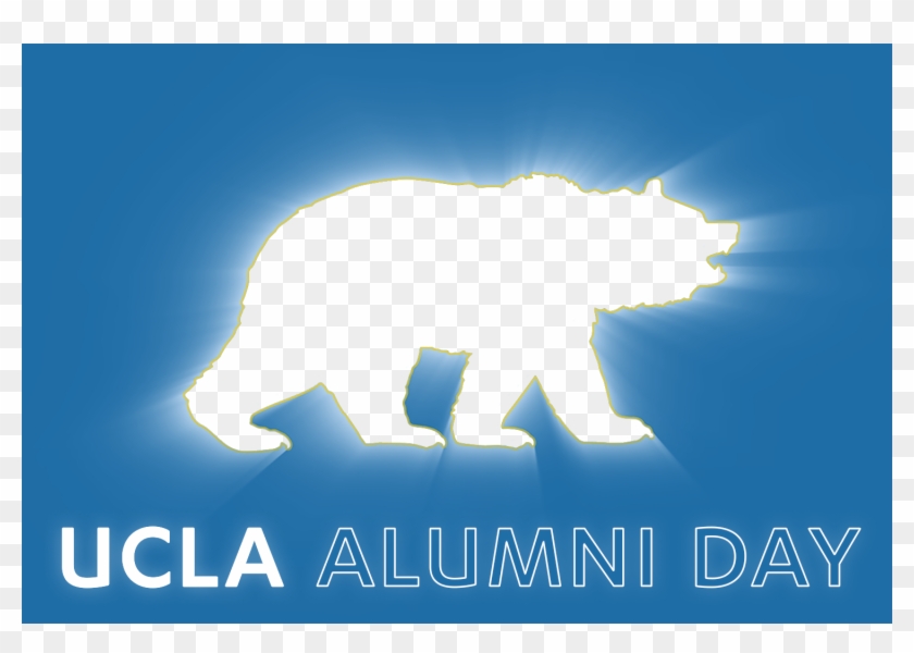 Ucla Almuni Day Promotional Video - Polar Bear Clipart #1185003