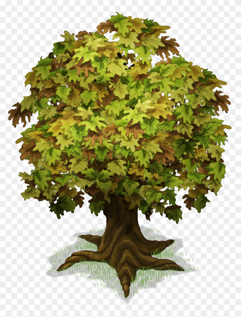 Maple Tree Png - Big Trunk Tree Png Clipart
