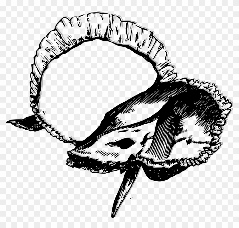 Clipart Freeuse Library Human Ear Clipart - Temporal Dibujo - Png Download