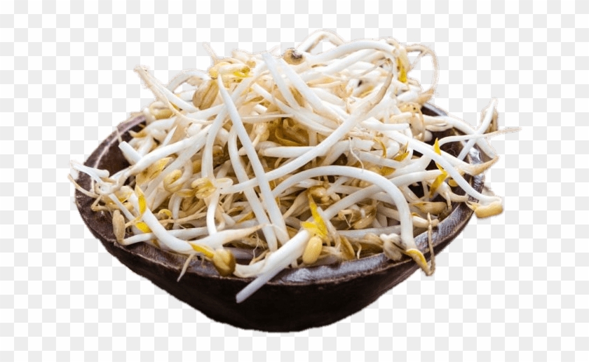 Food - Soybeans - Taugay Clipart