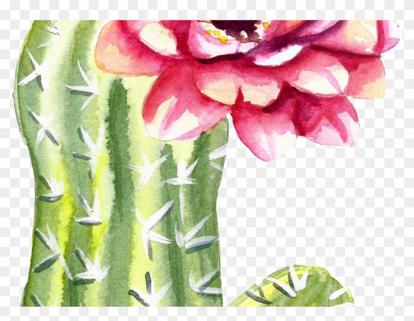 Green Watercolor Hand Painted Cactus Flower Transparent - Watercolor Cartoon Cactus Transparent Clipart #1186983
