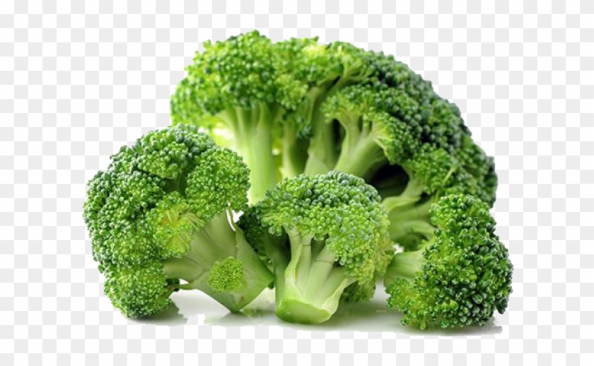 Broccoli Png Clipart #1187401