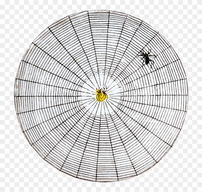 Circle Clipart #1187466