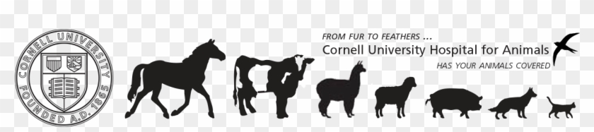 Cornellhospitalanimals - Silhouette Clipart