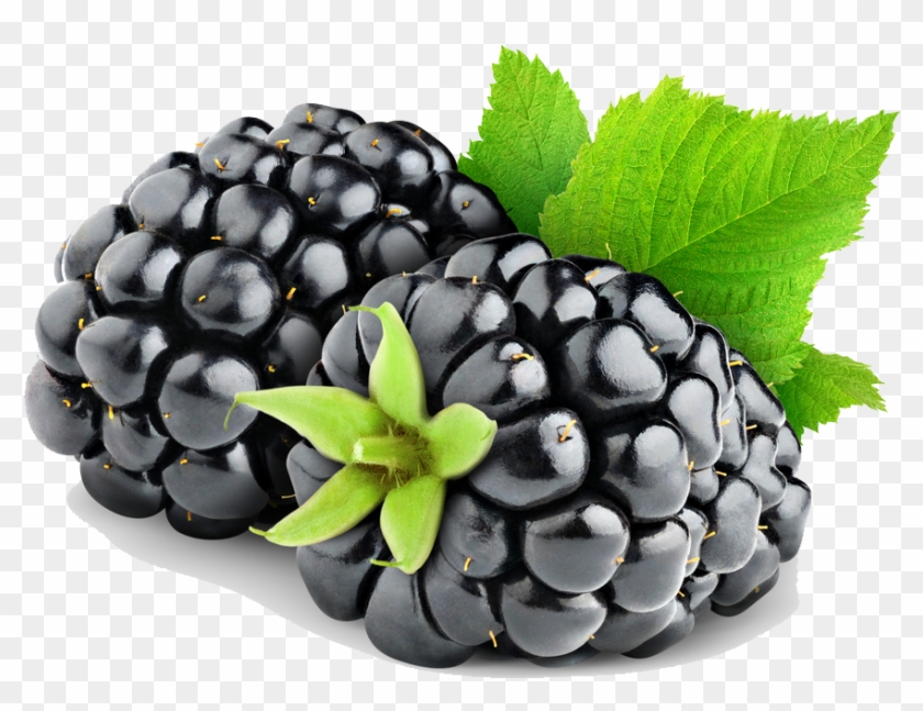 1000 X 784 2 - توت سیاه Clipart #1189044