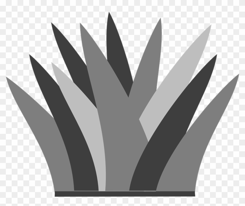 Grass Bunch Gray - Clip Art - Png Download