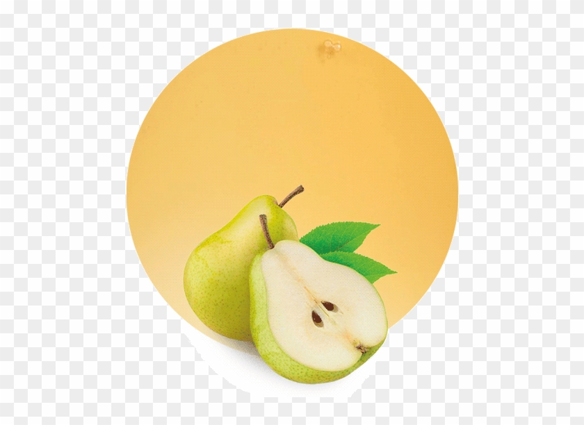 Com/wp Concentrate - Asian Pear Clipart